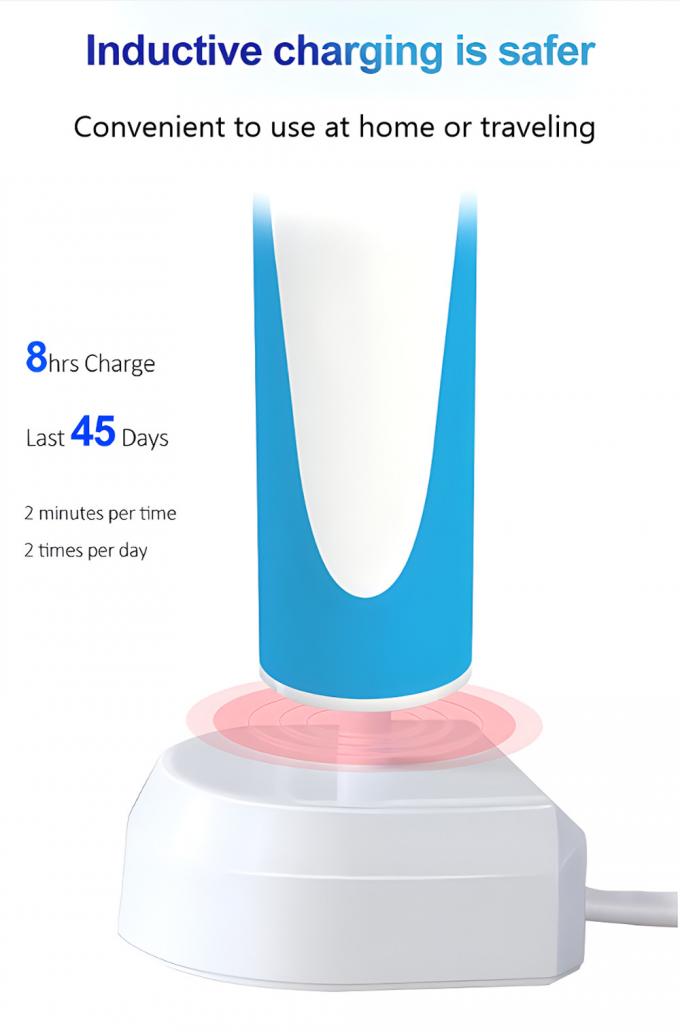 360 Rotating Electric Toothbrush Rechargeable EU-Patent Toothbrush With Round Brush Hea 3